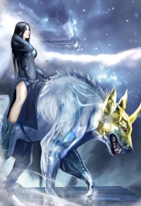 圣手无敌